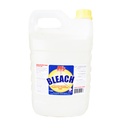 1 GAL. BLEACH