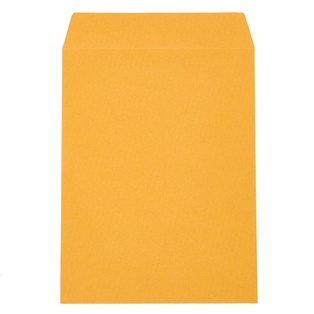12 x 10 MANILLA ENVELOPE
